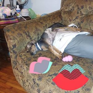 Meet your Posher, Teresa